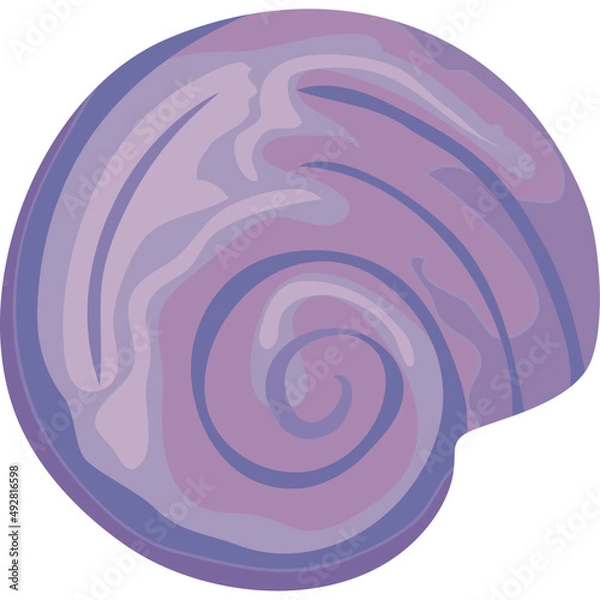 Fototapeta snail shell purple