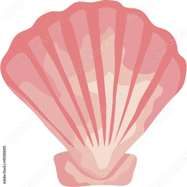 Obraz sea shell pink