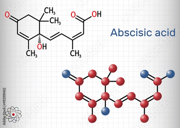 Fototapeta Abscisic acid, ABA  molecule. It is dormin, plant hormone. Structural formula, molecule model. Sheet of paper in a cage
