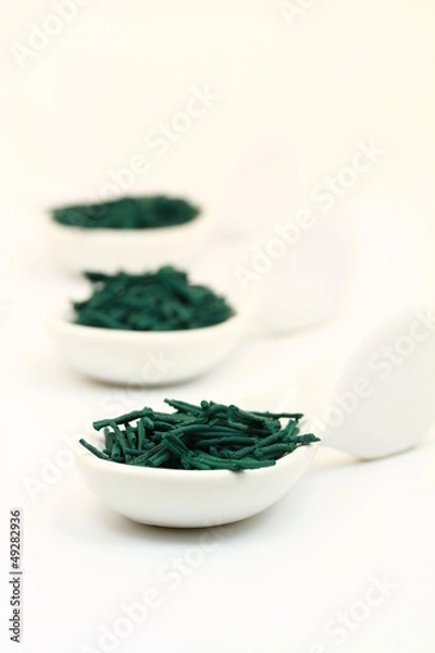 Obraz algues vertes séchées 