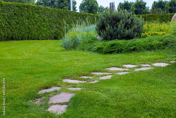 Fototapeta rough trail different shapes natural stone path paved in the green backyard turf lawn, crescent backyard walkway landscape with bushes and evergreen hedge wall, nobody.