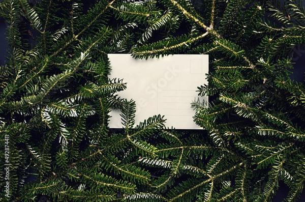 Fototapeta Top view of green spruce branches with empty white greeting postcard. vergreen ashy pine tree sticks background. Creative minimalistic composition