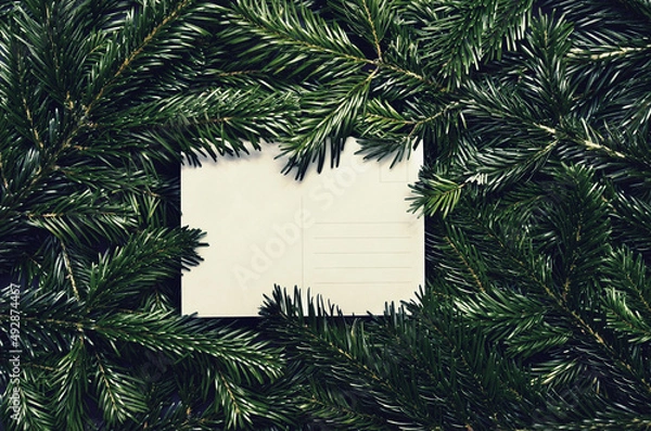 Fototapeta Top view of green spruce branches with empty white greeting postcard. vergreen ashy pine tree sticks background. Creative minimalistic composition
