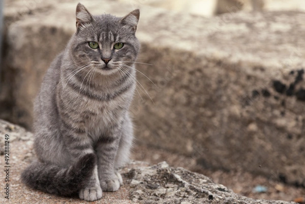 Obraz Lecce Italy tourist attractions