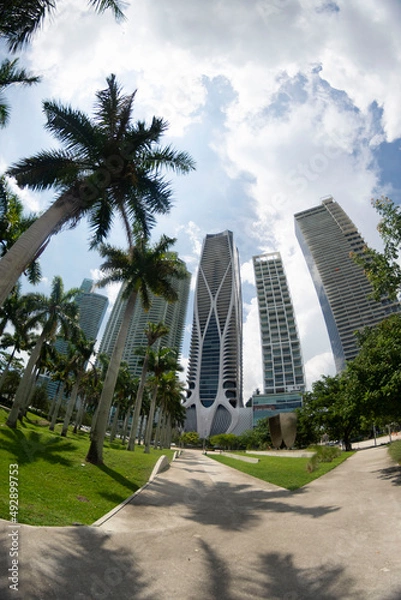 Obraz trees in the city