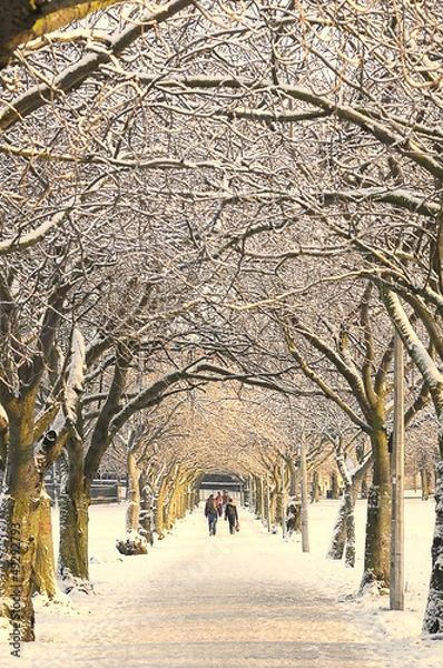 Obraz Winter pathway, Edinburgh, Scotland