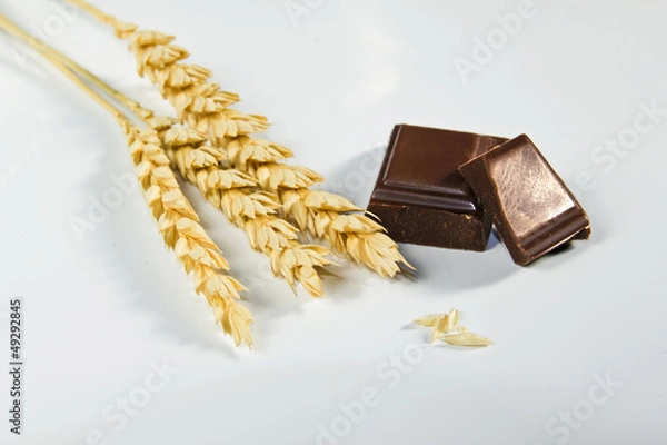 Obraz trigo chocolate