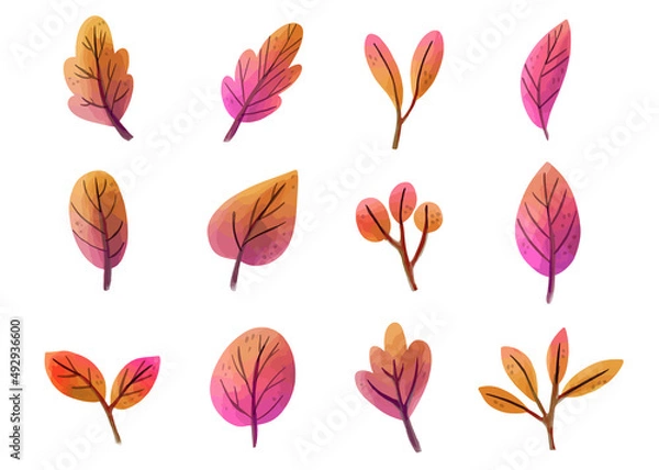 Fototapeta Watercolor pink fall leaves floral illustration set. Red orange leaf illustration clip art isolated in white background set.