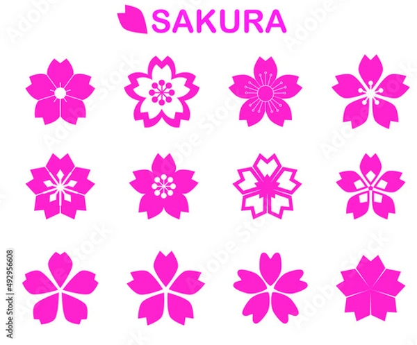 Obraz SAKURA