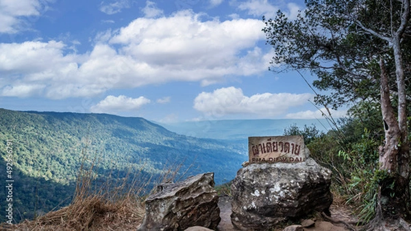 Fototapeta Beautiful scenery of tropical rainforest at Pha Diao Dai in Khao Yai National Park in Thailand, World Heritage Site, tall green trees in the mountains, blue sky and cumulus clouds.