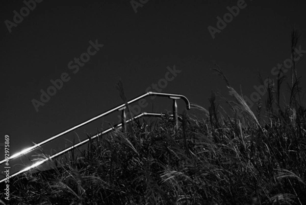 Obraz 階段の手すり