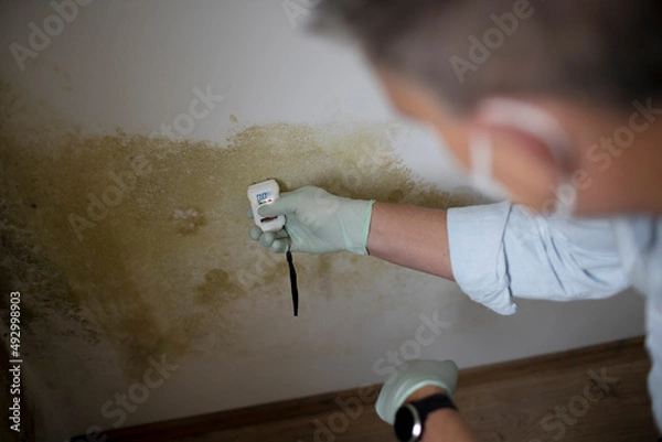 Fototapeta Man with nose mouth protection measures the moisture level on a wall with mold in an apartment