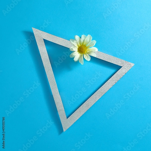 Fototapeta White flower and triangular frame for text on a bright blue background. Text space. Top view. Minimal style.
