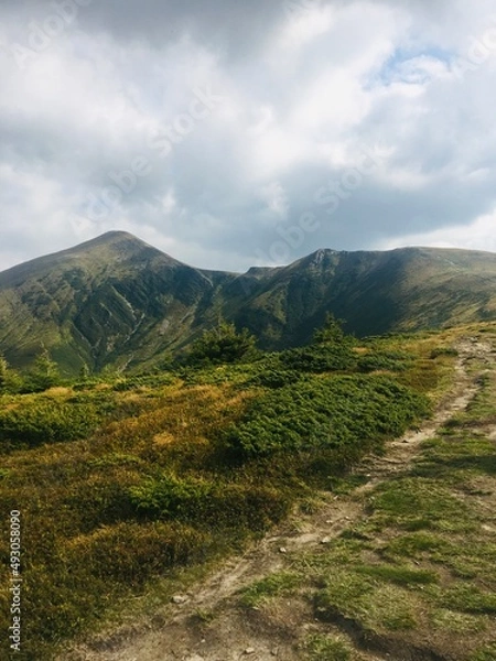 Obraz landscape in the mountains