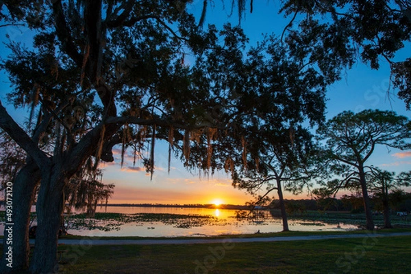Fototapeta Florida Lake