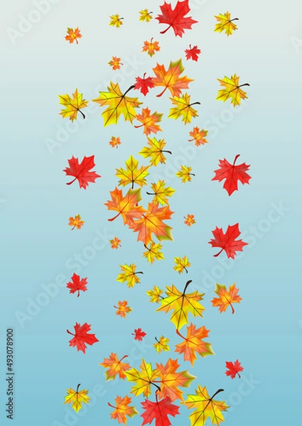 Obraz Yellow Leaves Background Blue Vector. Plant Realistic Illustration. Autumnal Isolated Leaf. Forest Foliage Design.