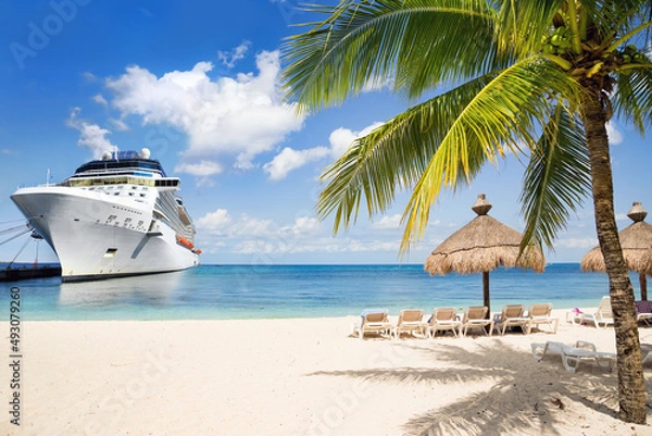 Obraz Cruise ship docked at tropical port on sunny day