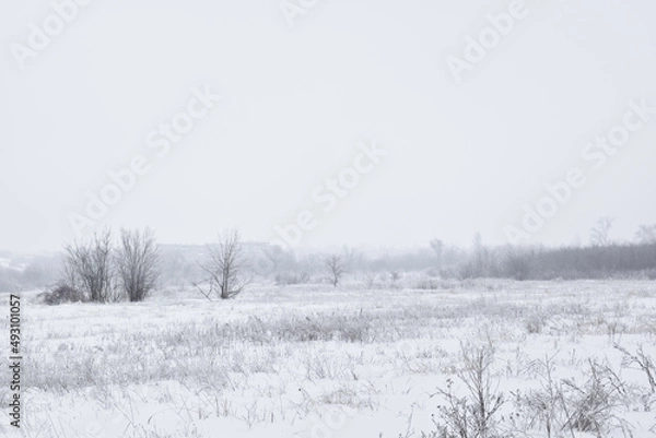 Fototapeta Winter field covered by snow