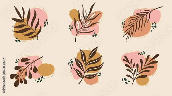 Fototapeta Vector abstract botanical compositions. Neutral colors natural organic fluid shapes. Bohemian jungle exotic leaves design. Boho style foliage.