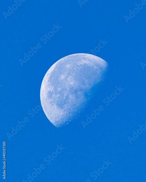 Obraz Half moon during the daytime