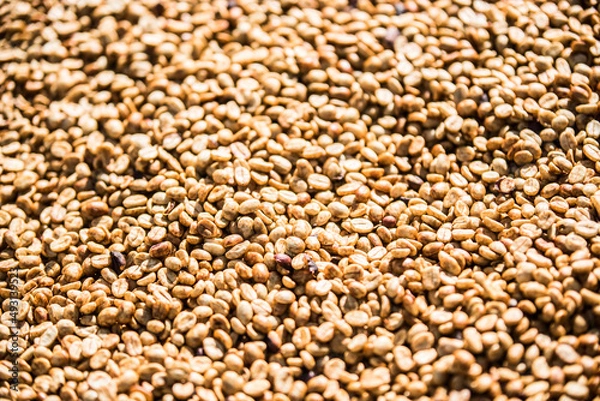 Fototapeta Cafe seco al sol