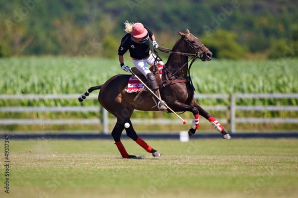 Obraz joueur de polo à cheval