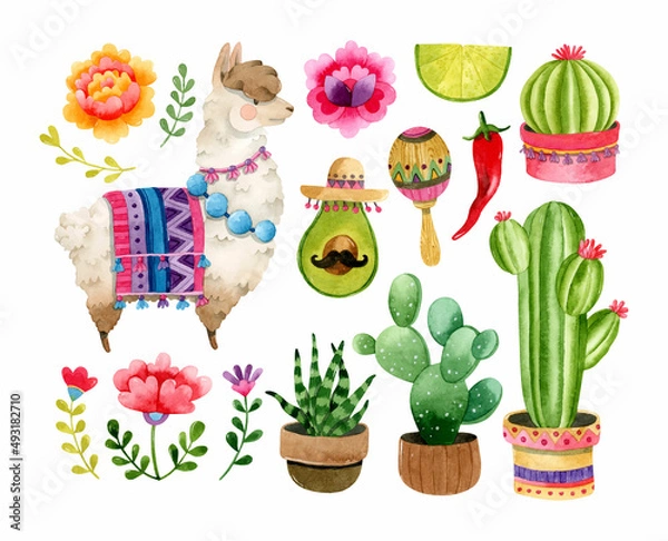 Obraz Mexican watercolor elements cactuses, lama and maraca set 