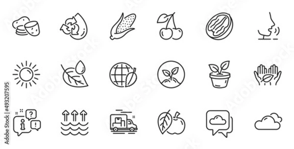 Fototapeta Outline set of Environment day, Pecan nut and Fair trade line icons for web application. Talk, information, delivery truck outline icon. Include Corn, Sun, Recycle water icons. Vector