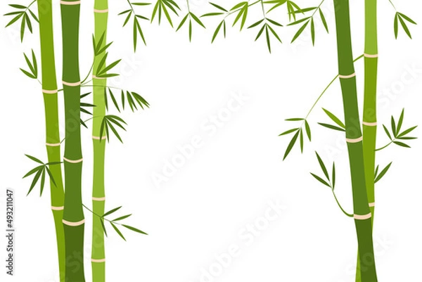 Obraz Bamboo stalk with green foliage on a white background. flat design vector illustration on white background.