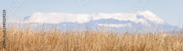 Obraz Grass and mountain