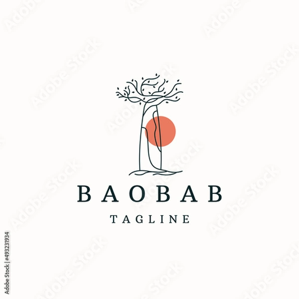 Obraz Baobab tree logo icon design template flat vector