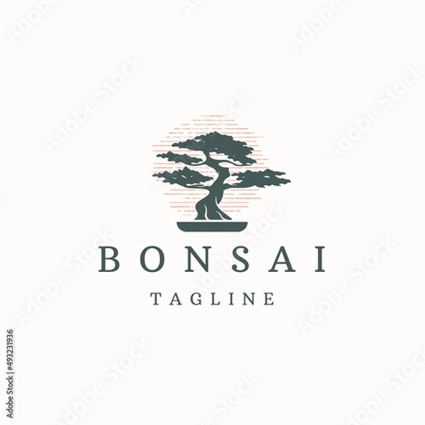 Obraz Bonsai plant tree logo icon design template flat vector