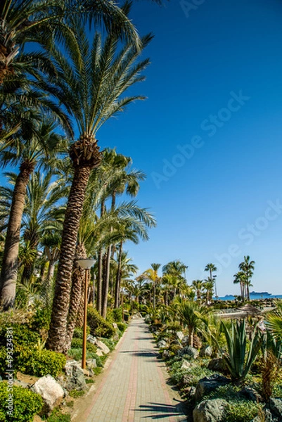 Obraz Limassol / Cyprus Beach Walk way Sun 