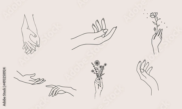 Fototapeta A set of Woman's hand icon collections in a minimal linear style. Vector logo design templates with different hand gestures, Crystal. For cosmetics, beauty, tattoo, Spa, feminine, jewelry store