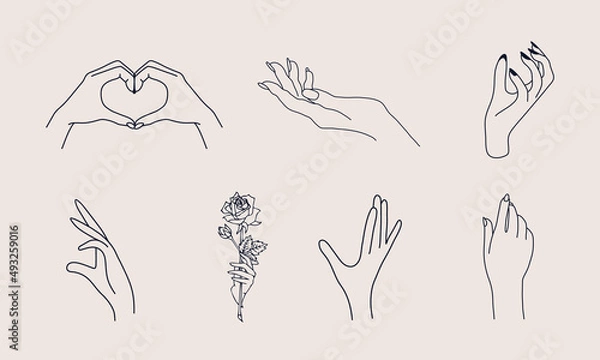 Fototapeta A set of Woman's hand icon collections in a minimal linear style. Vector logo design templates with different hand gestures, Crystal. For cosmetics, beauty, tattoo, Spa, feminine, jewelry store