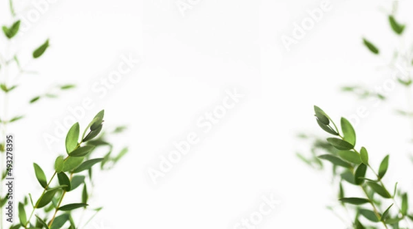 Obraz background, bloom, blooming, blossom, botanical, botany, branch, bright, colorful, crop, daisy, decorative, flora, floral, flower, fresh, gift, golden, green, growth, hand, head, holding, hybrid, leaf