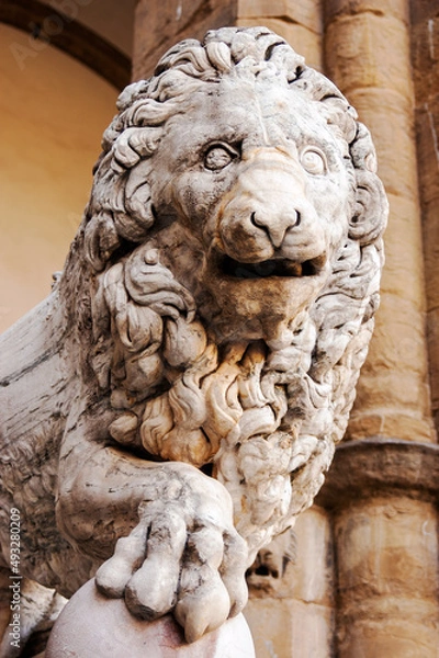 Obraz Florentian Lion