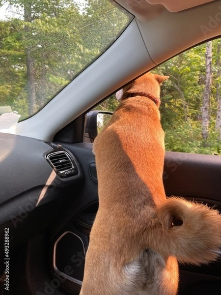 Obraz COPPER HARBOR MICHIGAN