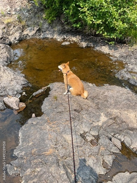 Obraz COPPER HARBOR MICHIGAN