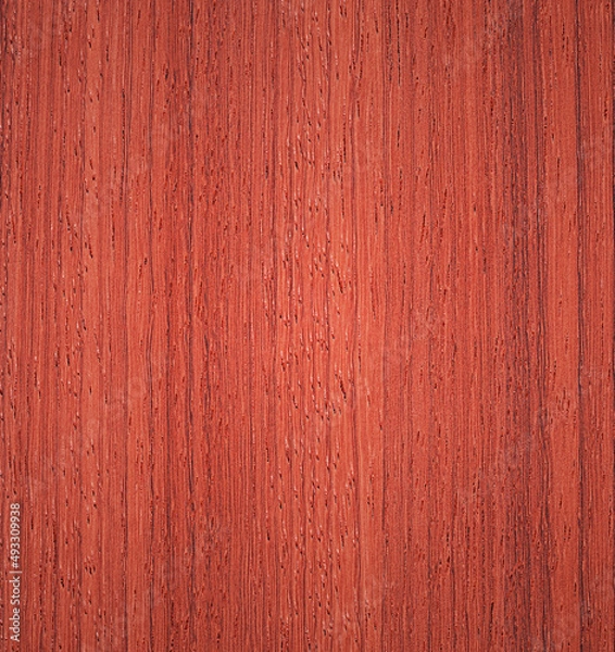 Fototapeta Wood and Paint - Padouk