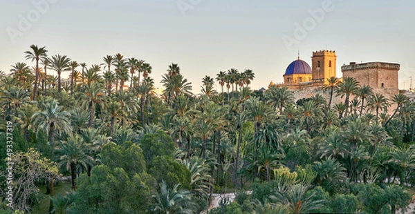 Obraz panoramic view of the Palmeral of Elche and view of the Altamira castle and the blue dome of the Santa María basilica, located in the Valencian Community, Alicante, Elche, Spain