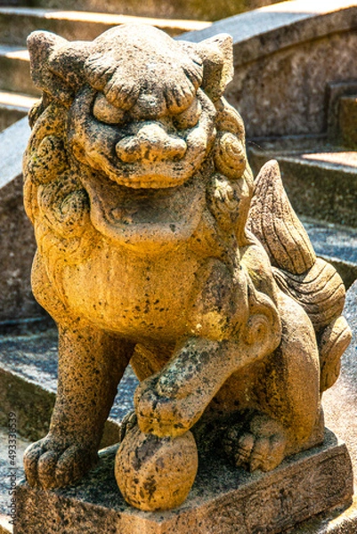 Obraz Asian Lion
