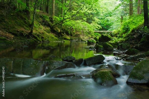 Obraz Magurski Park Narodowy