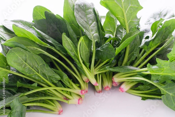 Obraz ホウレン草
