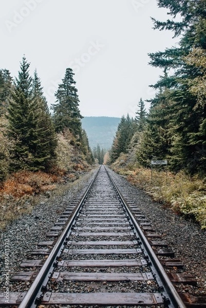 Obraz railway in the mountains