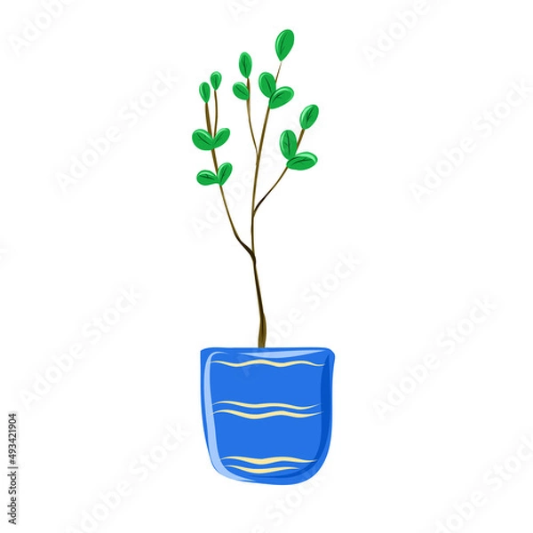 Obraz A tree in a blue pot for planting in the garden.