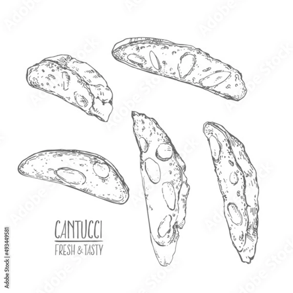 Obraz Hand drawn vector italian cantucci illustration pastry