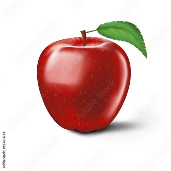 Obraz  Red apple on white background, illustration