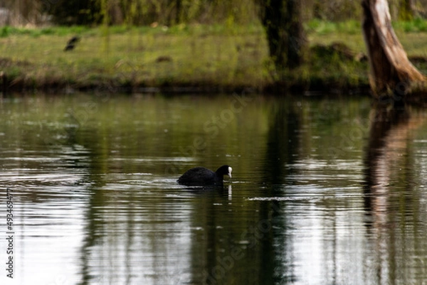 Obraz pour d'eau sur lac