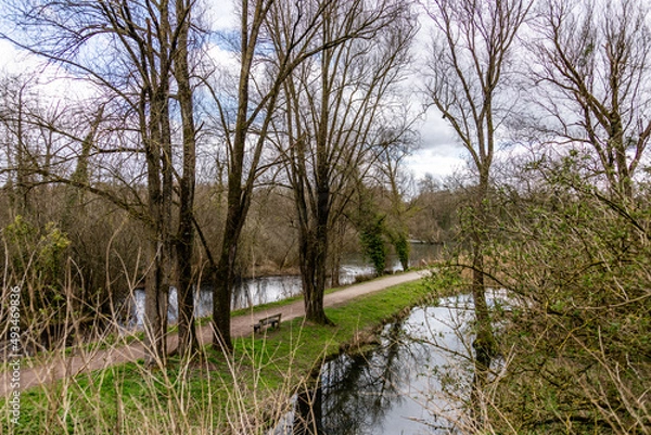 Obraz lac arboré avec chemin